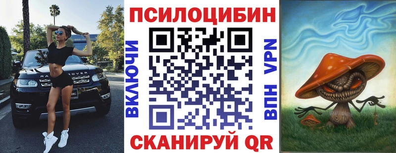 Галлюциногенные грибы Psilocybe Саров